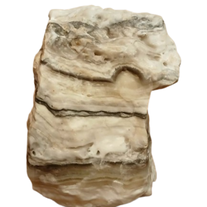 Zebra Calcite