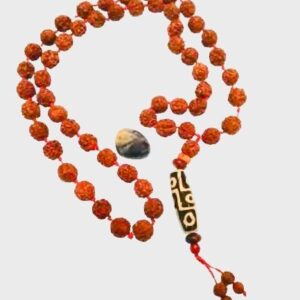 Rudraksha 9eyed dzi Bead Necklace